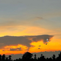 ��϶�����û��˼�ɡ�