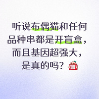 ��˵��żè���κ�Ʒ�ִ����ǿ�ä�С���