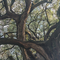 2026����ȥ�����ع����