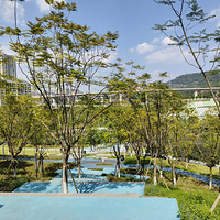 ����ʥȪ�µ������ϵ��Ϫ��԰