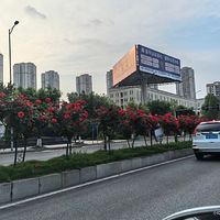 �����̻����Ļ����ֿ�����