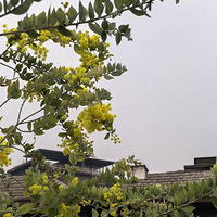 СԺ�ӵ�С����