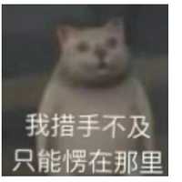 �������Ⱑ���������ͻƾ�褾�Ȼ����̸������