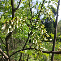 ��ĩ���㻱��������ˡ�������