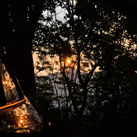 ������Ҫȥ����