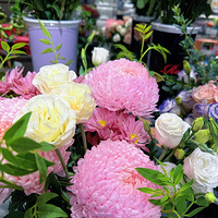 ˭֪��¹����Ȼ�����ʻ��������ţ�����һ�β�֪�������