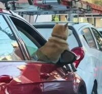 �·��ˣ������죬ȫ����ĺóԹ��ǲ��Ƕ�������ȥժӣ�ҵ�·��