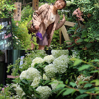 ����������ŵĻ�԰�������ֵĻ�������г�~