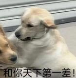 �������̲��ˣ�������������ѡ�����ѳԲˣ�Ȱ�˺ö���