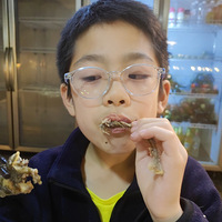 κ�㽭���ܣ����������