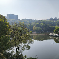 Сɭ�ֳ���Ұ��Ӫ��