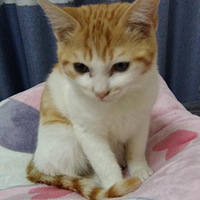 7���¼���С�ٵܵܣ�ȫ�������豸�����������