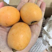 �������˾�����