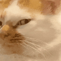 ��416ֵ���򡿿����ʮ�ִ��׾���30֧53�����ֻ���¶Ӫ�۵���24