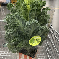 ɽķ�������޷�ֳ�����¸������Ա�������