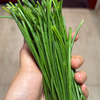 ��Ȼ����������ɳ�У�����