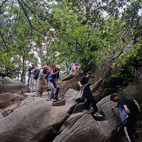 ��������