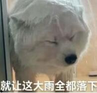 �����������󵽻��������������Ʒ����������ϣ��ö��˻���ʪ͸