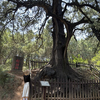 ��ð�Ŷ���������Է������ж��ѵ�