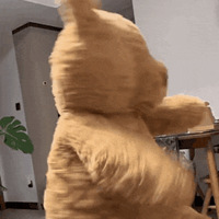 ��421ֵ����ʰ���޺��������34���ɸ����������ˮ2ƿ24