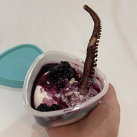 Ц�������Ƕ���ʲô���׵ġ����ߡ��Թ�����