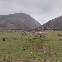 ���ɶ���ͽ����18km��ʱ9h