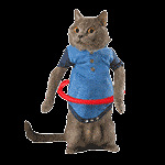 ��422ֵ���򡿰����ջƽ��Ա�꿨138����ά��ֹ��¶����15