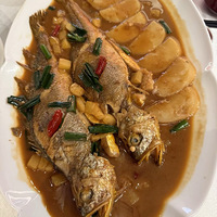 ʤ�˴��ŵ�����ɷ���Χ������