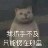 �����¿��˸���ѹ�԰���컨�弶��Ĵ��ڣ�ˣ��һ���