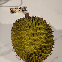 ֱ��������35���������������2��һ��̫������