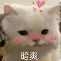 ���������С���������ڴ�����������ƽʽ���ޣ�����������ߣ�