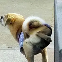 ���������޹��������飬����ɱ��������������۲���ȫ���̯
