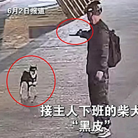 ��Ȯ������������������°�ߺ�����������������