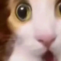����Ӣ�����������ٶȸ������ȵ������Ǳ�С14������˦�˵���Ϣ��