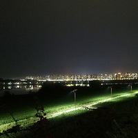 91��δ�飬�������