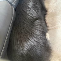 �����ݼҴ������о������˶���