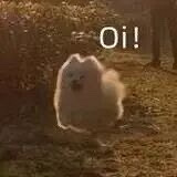 ��713ֵ���򡿸����ֲ���������˪29��һĬ��ש�齺��ϯ3����99