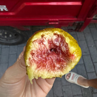 ������Ե�Ư���޻���