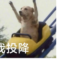 �޶�����·������ͻȻ�������治������������Ӳ��һ�԰���