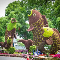 ٻᵹʱ4죡Сǰ50軨