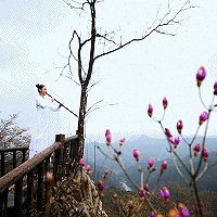 ȼˣ֧ҺҵУԪ벻...