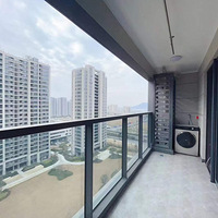 ���ں͸���װ����