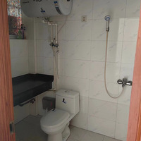 ��̩�������⣡