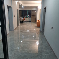 ������¢6¥����!!!!!