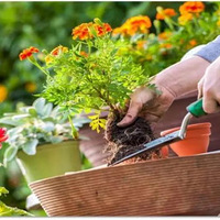 ������Ϫ�ȡ�����Ȼ��ӽ�������Խ����