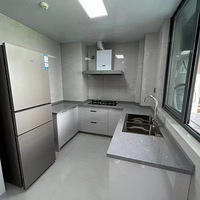 ���ڱ�������