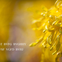 +++++++++++++++    ҵ  