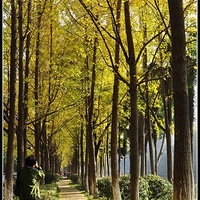 ����С�������ӻ�