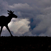 ��Ӱ ����֮��