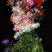 �߲�Ф�񣬹�����